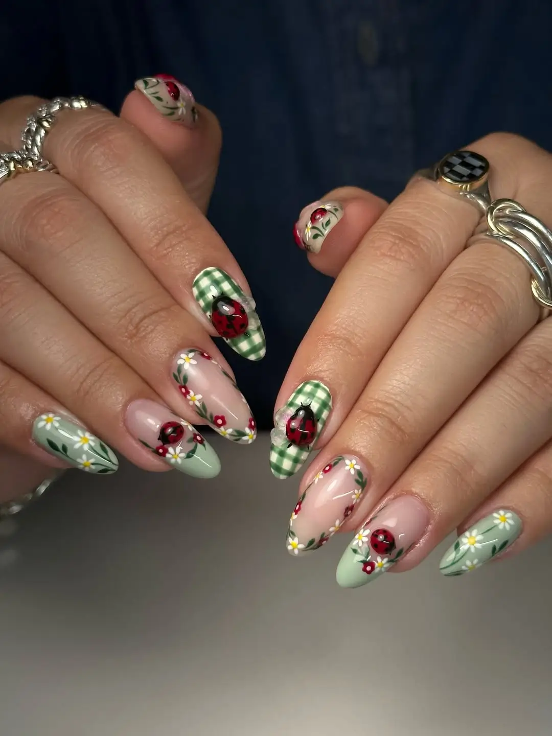Ladybug and Green Gingham