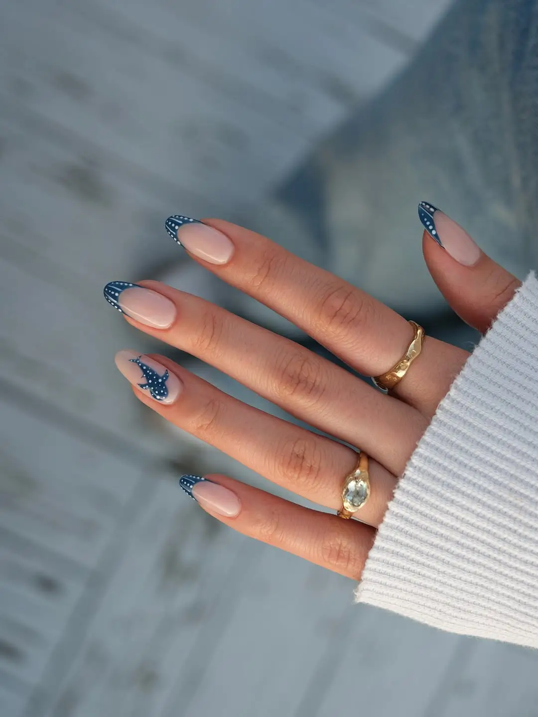 Navy Edges And Spotted Sea Animal