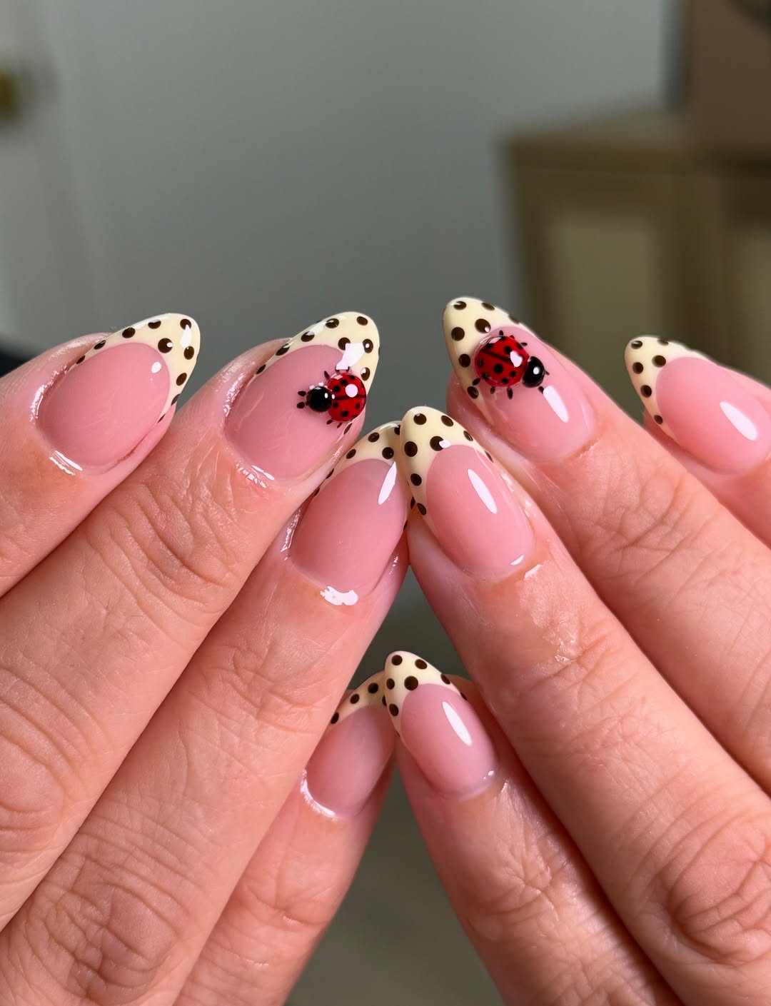 Polka Dot Ends and Red Beetles
